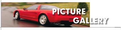 Picture Gallery